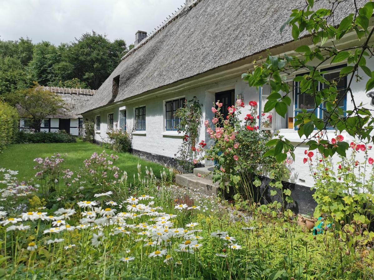 Plantepressen B&B Faborg Bagian luar foto