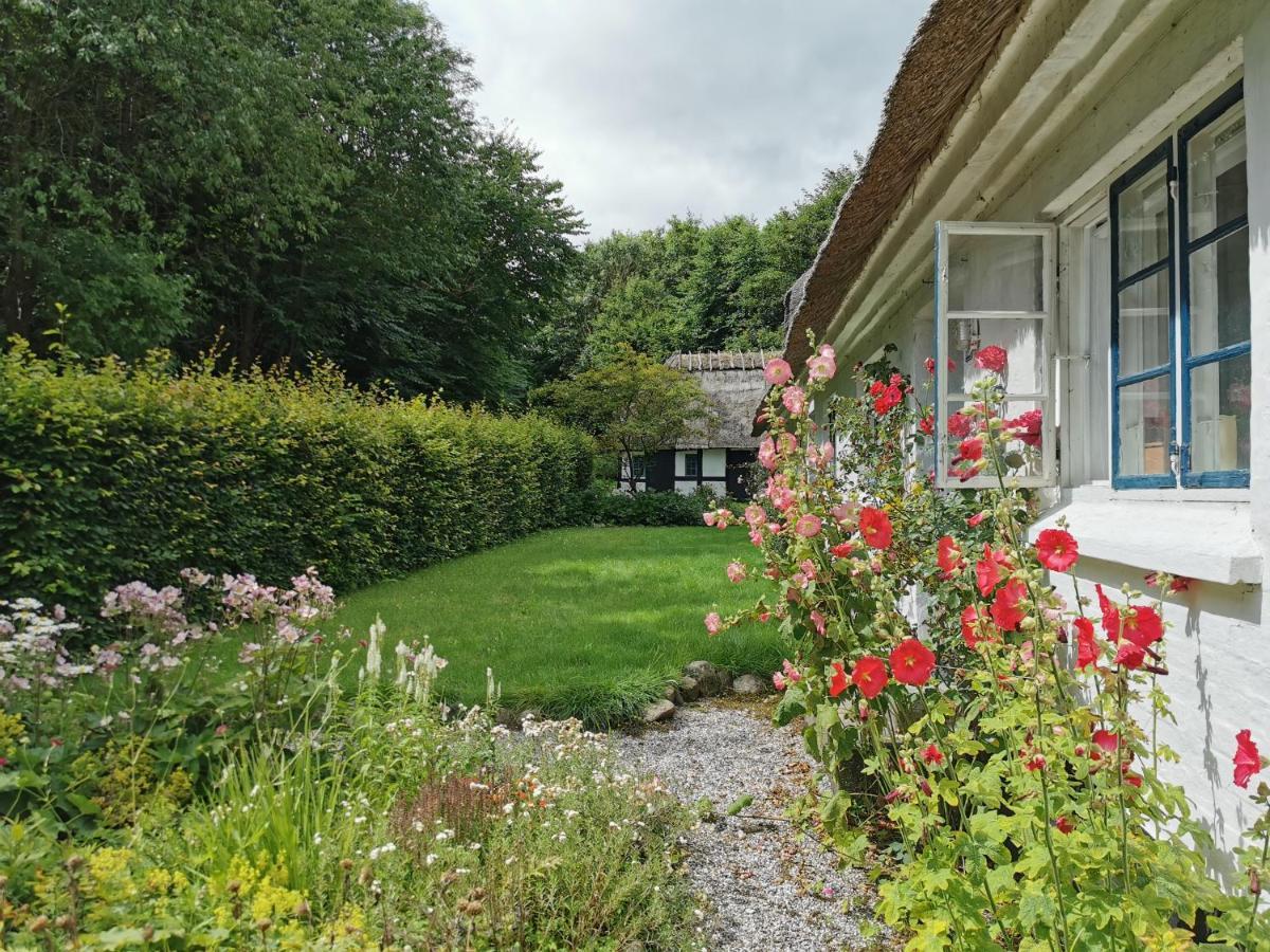 Plantepressen B&B Faborg Bagian luar foto