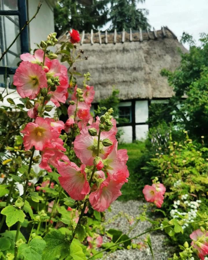 Plantepressen B&B Faborg Bagian luar foto